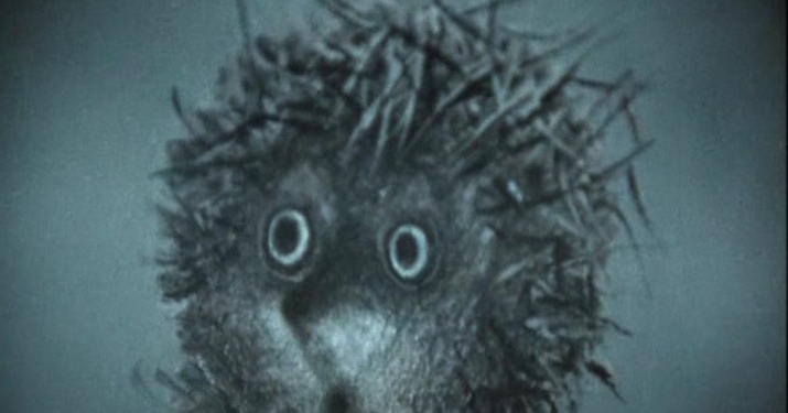 Вредные привычки ежика в тумане   