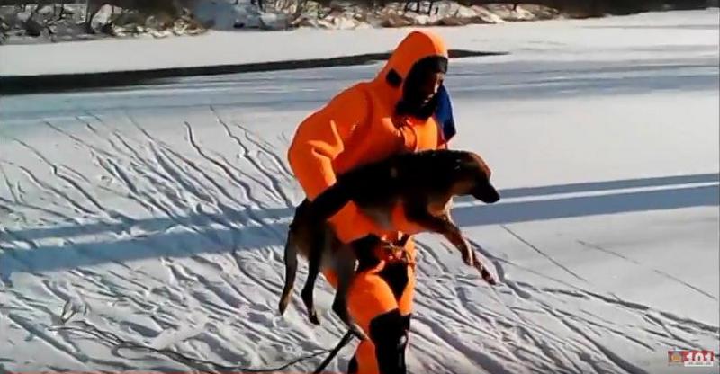 В Полтавской области спасатели вытащили из ледяной реки бездомного пса 1