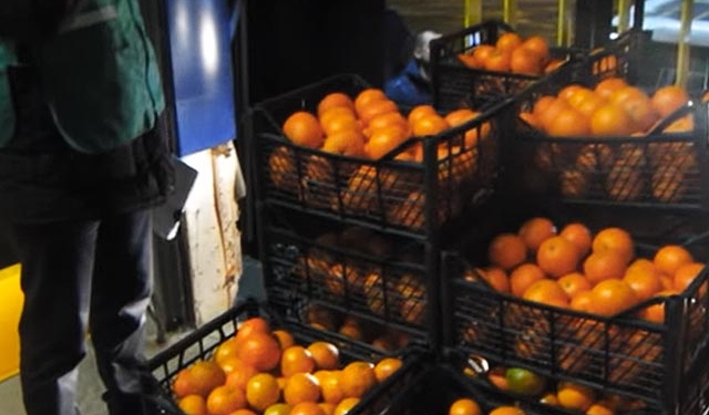 В Ставрополье раздавили партию турецких мандаринов
