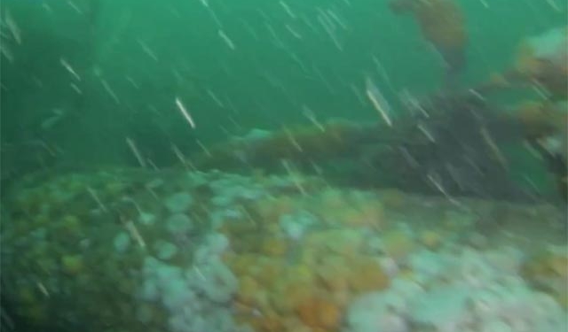 У берегов Великобритании обнаружили немецкую подводную лодку времен Первой мировой войны