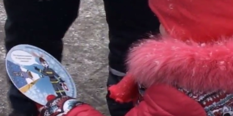 Елочка, зажгись, но не гори! В Николаеве спасатели учили горожан праздновать правильно