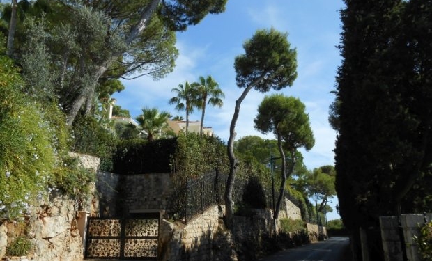 “Павлины, говоришь”: Шикарные виллы Фирташа и Левочкина – соседи на Лазурному берегу во Франции