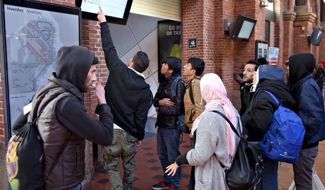 Беженцы привезли в Европу болезни, которые считались давно забытыми