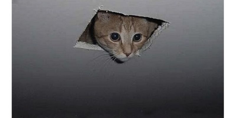 Пробили потолок, вынесли продукты и почти 4 тыс.грн.: на Николаевщине ограбили сельский магазин