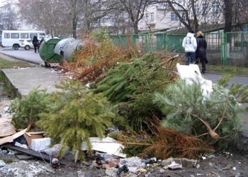 А в Киеве открыли пункты приема для утилизации новогодних елок