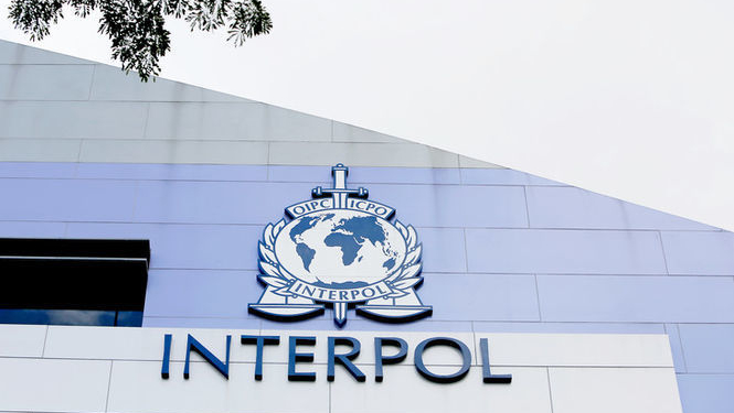 Чиновников Януковича ищут по-прежнему, – Интерпол