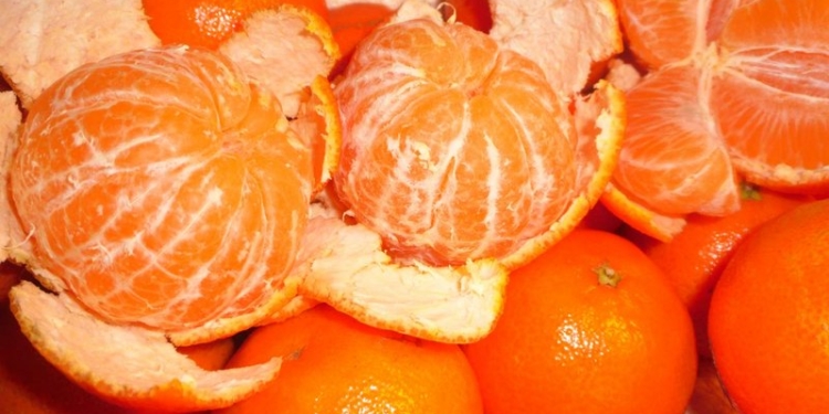 В Николаеве впервые прошел новогодний забег на 2016 метров… за мандаринами