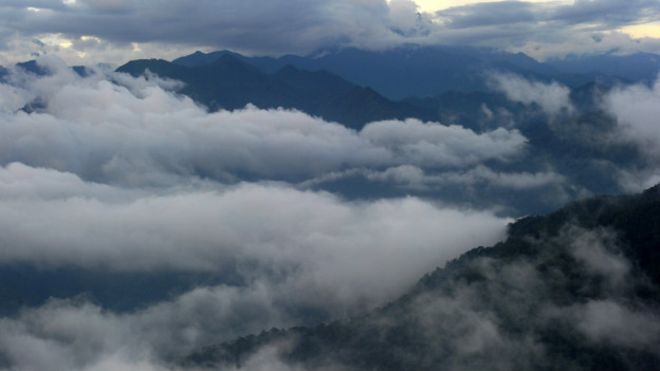 В поисках сокровищ. Археологи ищут в джунглях “Город обезьяньего бога”
