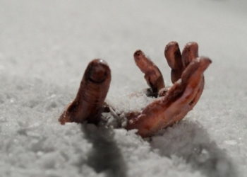 Из-за снегопадов в Николаевской области на обочинах дорог насмерть замерзли две женщины