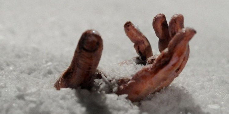 Из-за снегопадов в Николаевской области на обочинах дорог насмерть замерзли две женщины