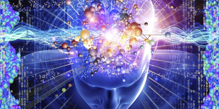 Шотландские ученые выяснили, что умные люди живут дольше