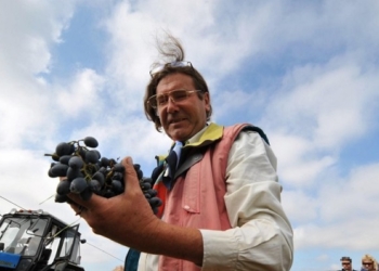 Мир обсуждает “наезд” украинской налоговой на французского винодела в Одесской области