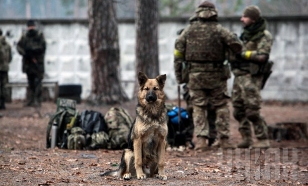 На Мариупольском направлении уничтожена группа российских диверсантов