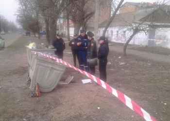 Мина у мусорника, граната – на дереве: почти одномоментно в трех районах Николаева нашли взрывоопасные предметы