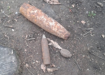 Пошел за дровишками, а нашел снаряды: на Николаевщине спасатели обезвредили 5 взрывоопасных предметов