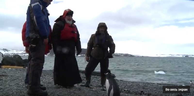 Патриарх Кирилл встретился с пингвинами в Антарктиде 1