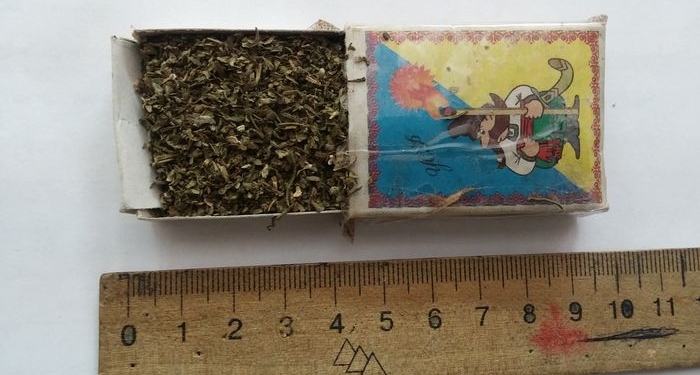 Наркотики – почтой: в Николаевский СИЗО доставили посылку с коноплей