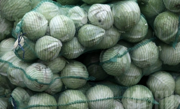 Украина с 1 марта приостанавливает ввоз капусты из Испании