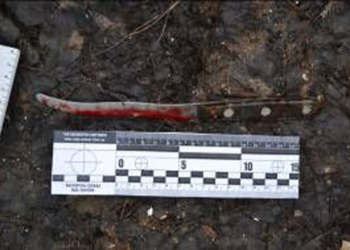 В Новой Одессе – двойное убийство: воровские посиделки закончились поножовщиной