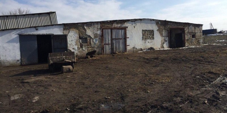 Чего только не бывает: на территории Жовтневого района есть «режимная» скотобойня, куда даже власти доступа нет