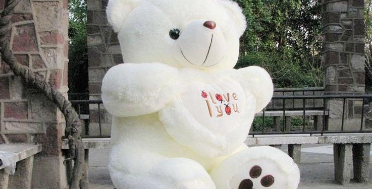 Грабитель с белым медведем. Необычное ограбление в Киеве