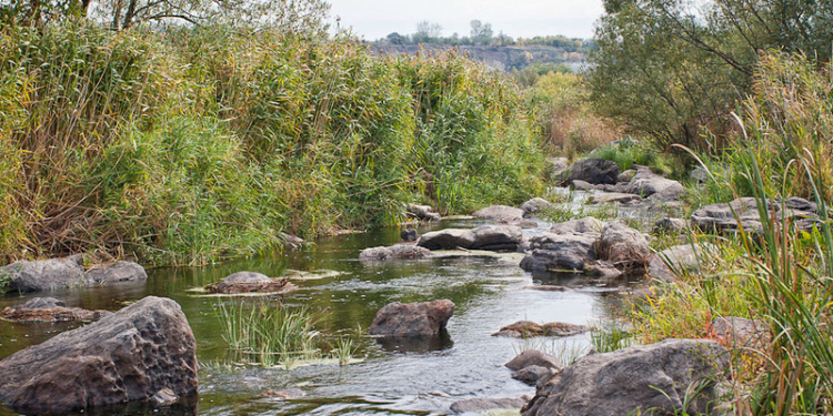 Первомайская РГА незаконно продала участок земли рекреационного назначения в Грушевке