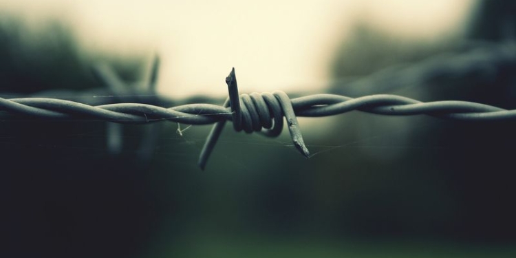 Опасные «шалости»: из-за натянутой в Александровке поперек дороги колючей проволоки травмировался мотоциклист