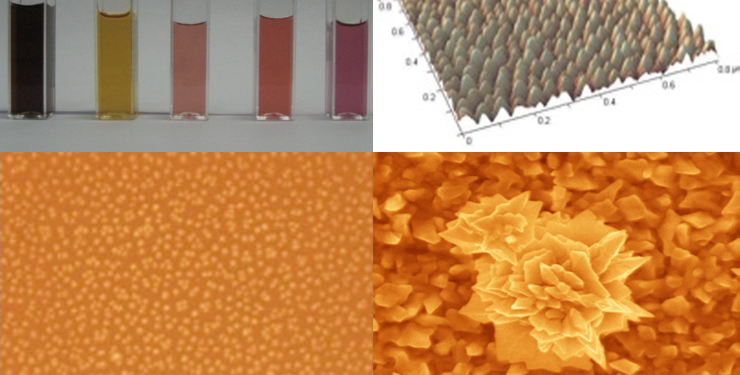 Латвийские ученые утверждают, что разработали лекарство от рака