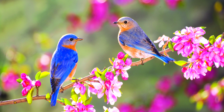 Украинцы в марте будут отдыхать 4 дня подряд