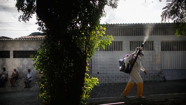 Побороть вирус Зика будет стоить 56 млн. долларов