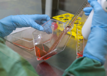 Обама попросил у американского Конгресса почти 2 млрд долларов на борьбу с вирусом Зика