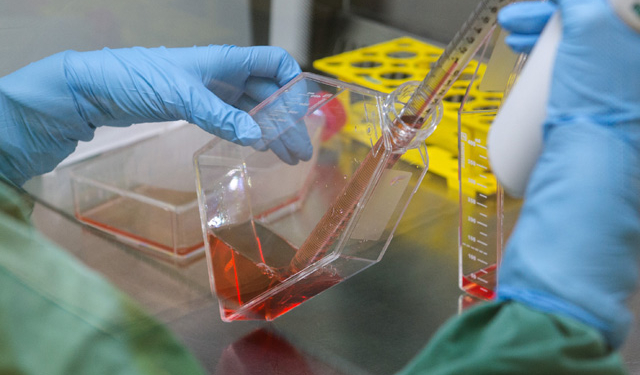 Обама попросил у американского Конгресса почти 2 млрд долларов на борьбу с вирусом Зика