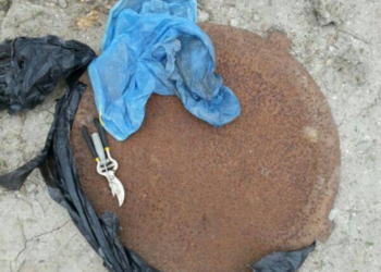 Николаевские патрульные задержали похитителя канализационных люков