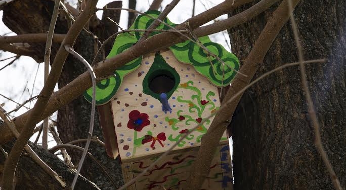 В Вознесенске подготовились ко Дню птиц – к 1 апреля развесят 50 ярких скворечников