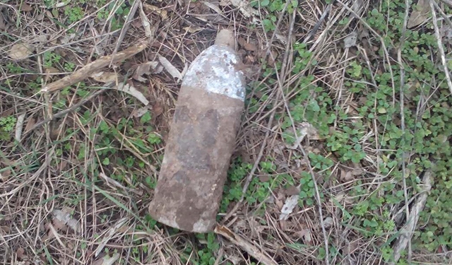 В Николаевской области спасатели обезвредили 6 боеприпасов времен прошлых войн