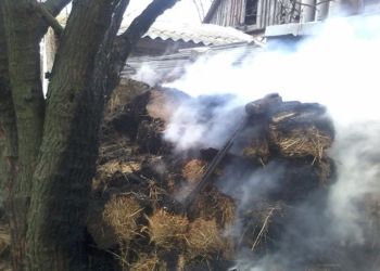 На Николаевщине горел очередной сенник