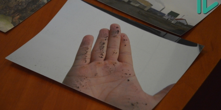 «Если не там строить предприятие, то тогда где в городе строить?» – николаевский «оппозиционер» Омельчук о заводе, засыпающем пеплом жителей Терновки