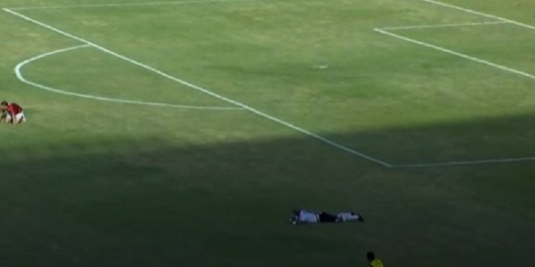 В Бразилии дикие пчелы прервали футбольный матч