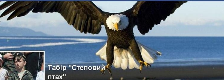 «Степовий птах»: в Николаеве летом откроется спортивно-патриотический лагерь для мальчишек