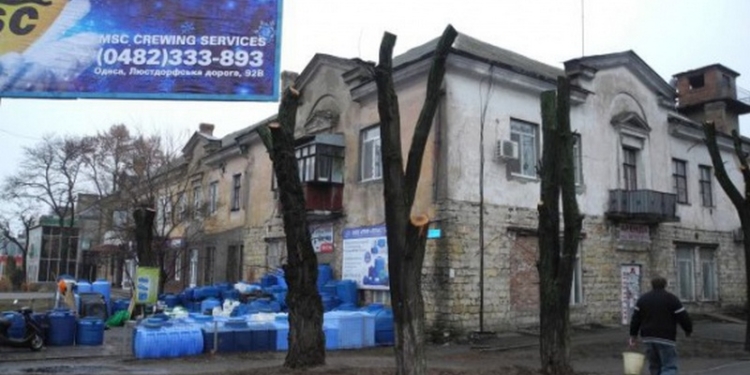 «Нанесён громадный ущерб, который выражается в миллионах гривен» – общественница о «кронировании» в городе Николаеве