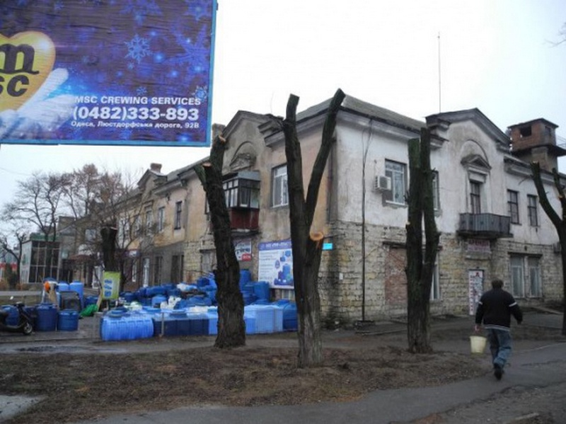 «Нанесён громадный ущерб, который выражается в миллионах гривен» – общественница о «кронировании» в городе Николаеве 3