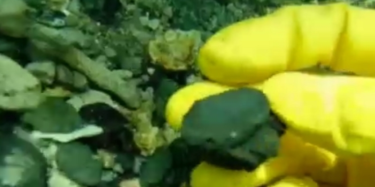 Возле Омана нашли корабль, затонувший в 1505 году, а на его борту…