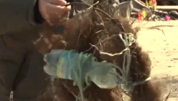 Спасти рыбу в Днепре. Ихтиологи ставят…гнезда для нереста