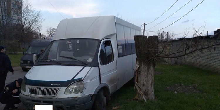 В Николаеве пьяная женщина за рулем Руты въехала в дерево