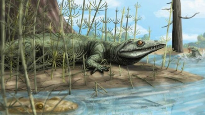 Ученые обнаружили в Бразилии останки неизвестного предка динозавров