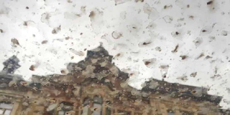 Во Львове прошел оранжевый дождь