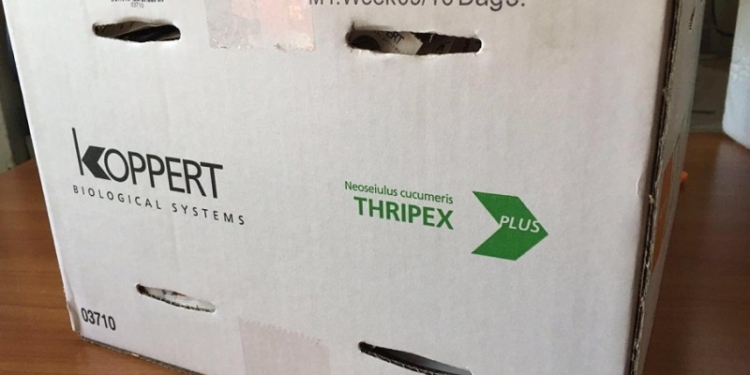 Контрабандист пытался ввезти в Украину 40 коробок живых клещей – на 6 млн.грн.