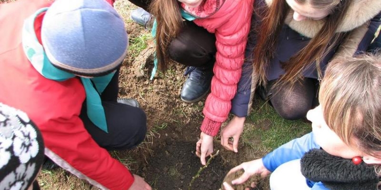 Готовимся к теплу: в Николаевском зоопарке высадили 38 кустов роз