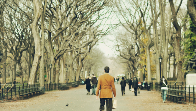 Умные люди склонны к одиночеству. Ученые назвали причину