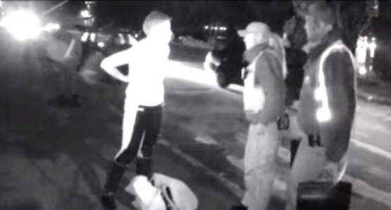 Пьяная чиновница налоговой устроила на дороге стриптиз для патрульных